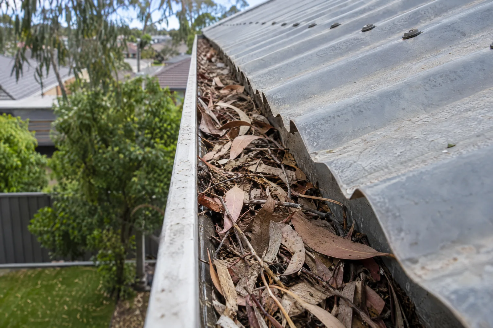 Illustrative Australian roof gutter filled with leaves before cleaning