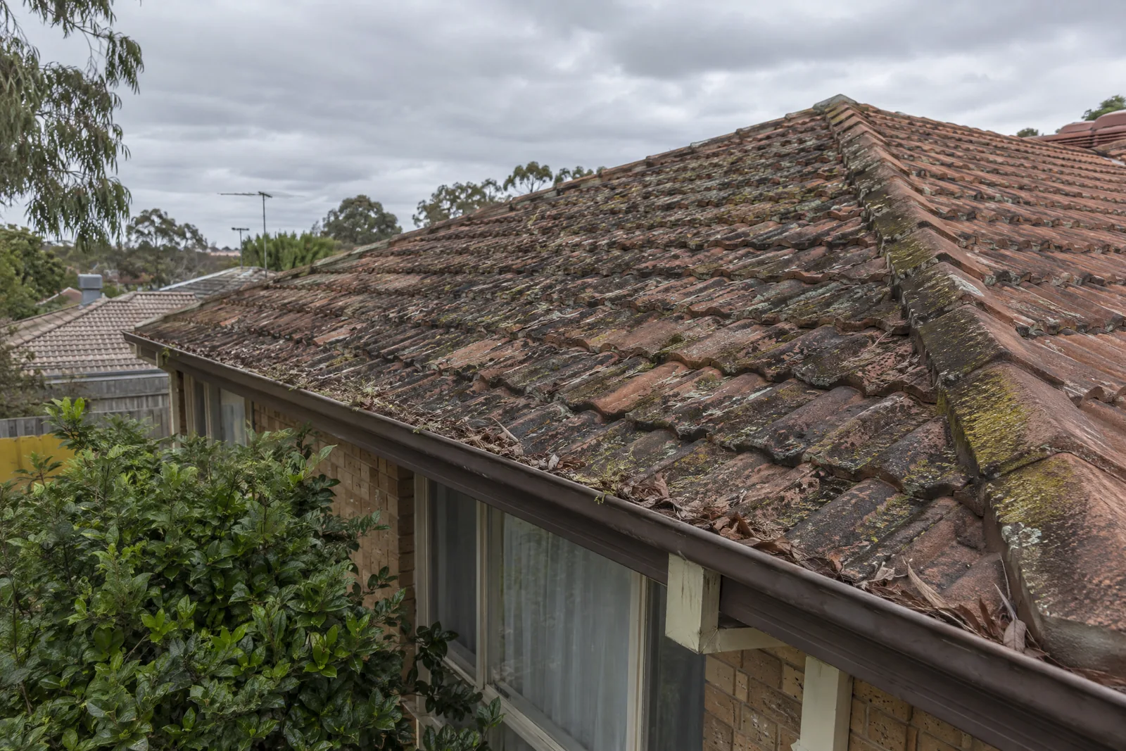 Illustrative Australian roof with moss and leaf debris before roof and gutter cleaning